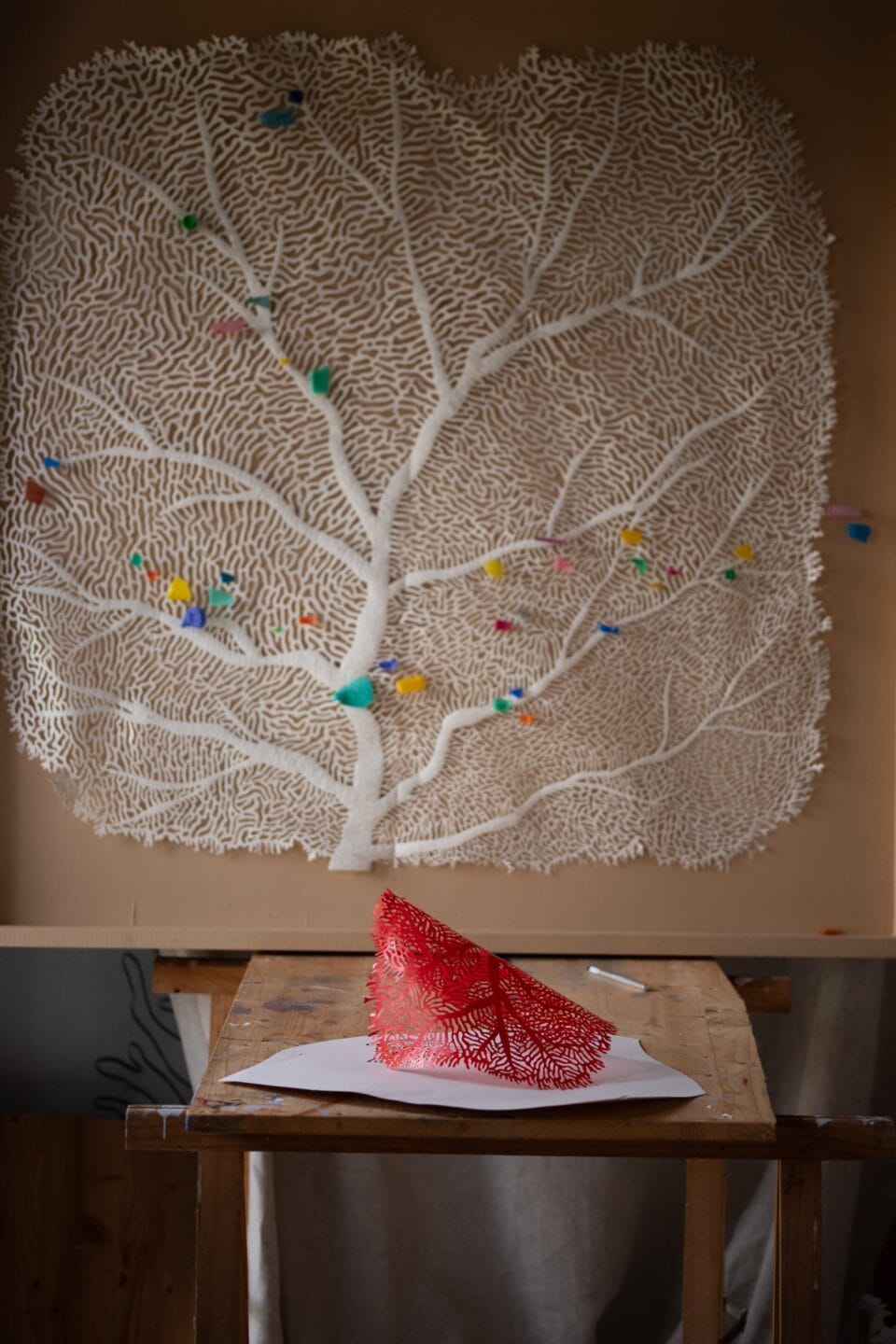 a framed artwork made of cut material in the shape of coral