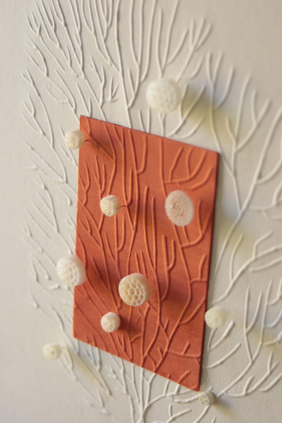 a detail of a framed artwork made of cut material in the shape of coral