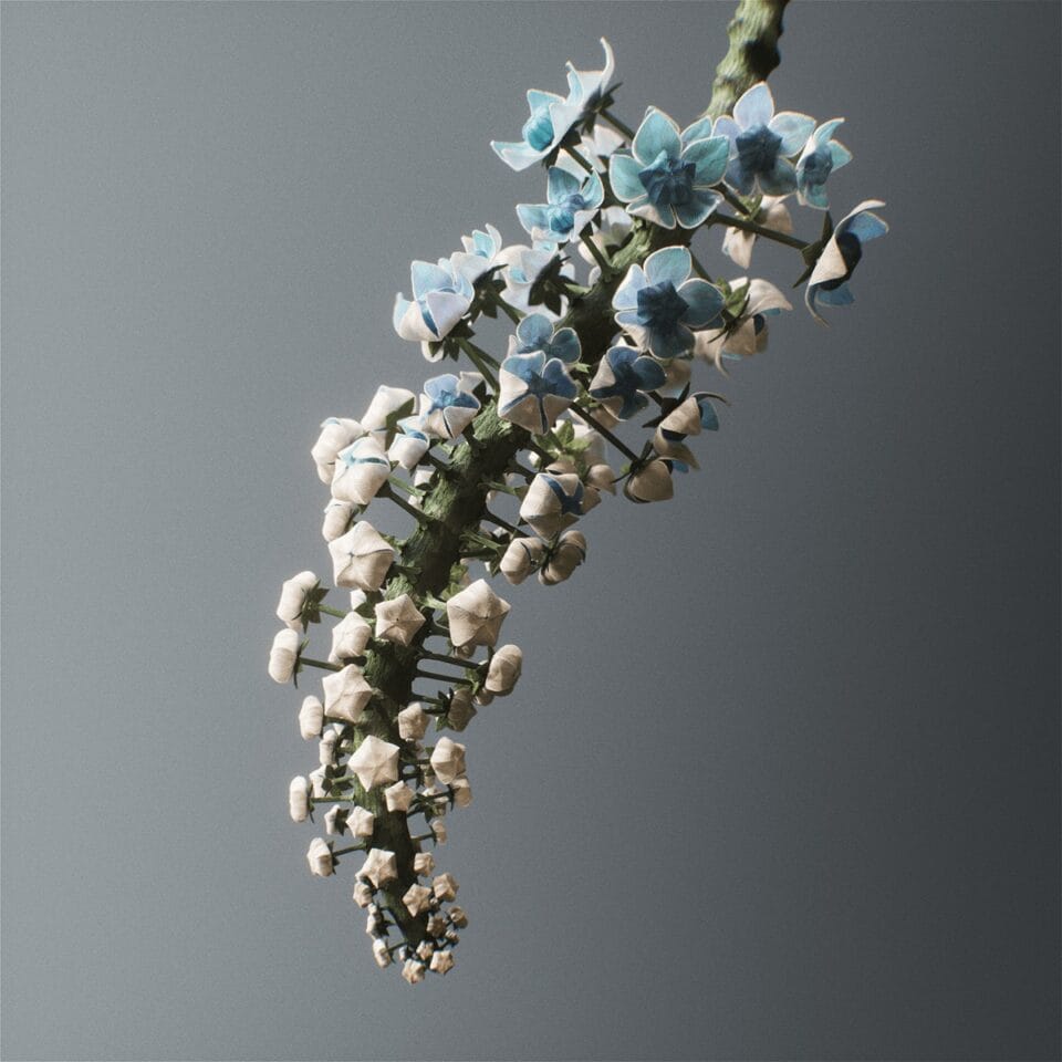 a digitally rendered image of an imaginary flower shaped somewhat like a lilac