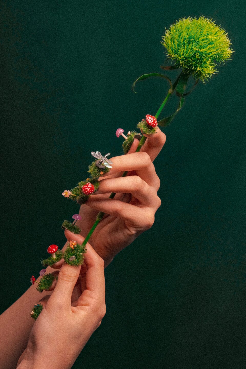 two hands hold the stem of a flower, donning a manicure comprised of tufts of moss, a dragonfly, and mushrooms on each nail