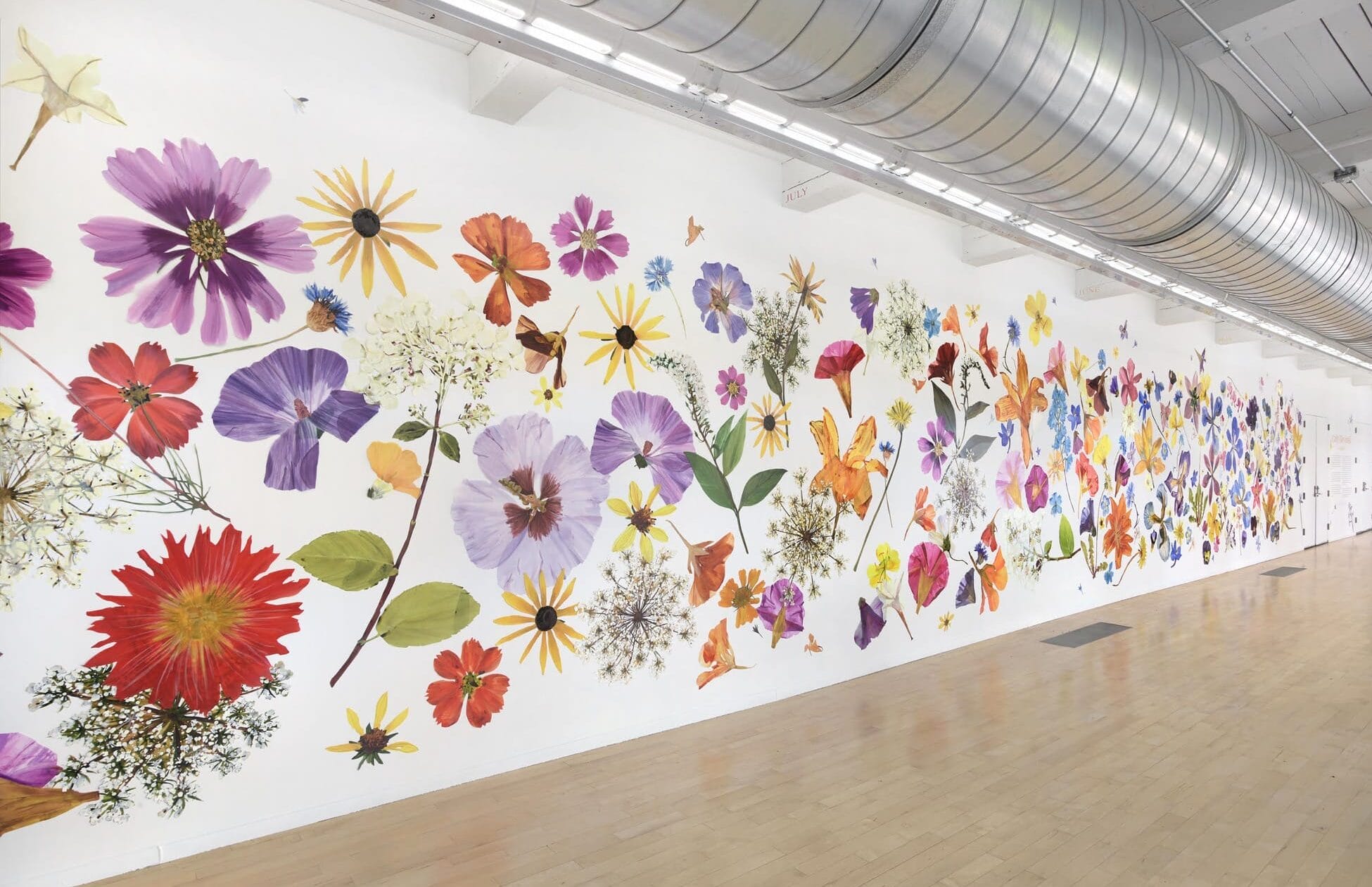 a large, full-wall installation of numerous flower painting cutouts that resemble giant pressed flowers all along a white wall