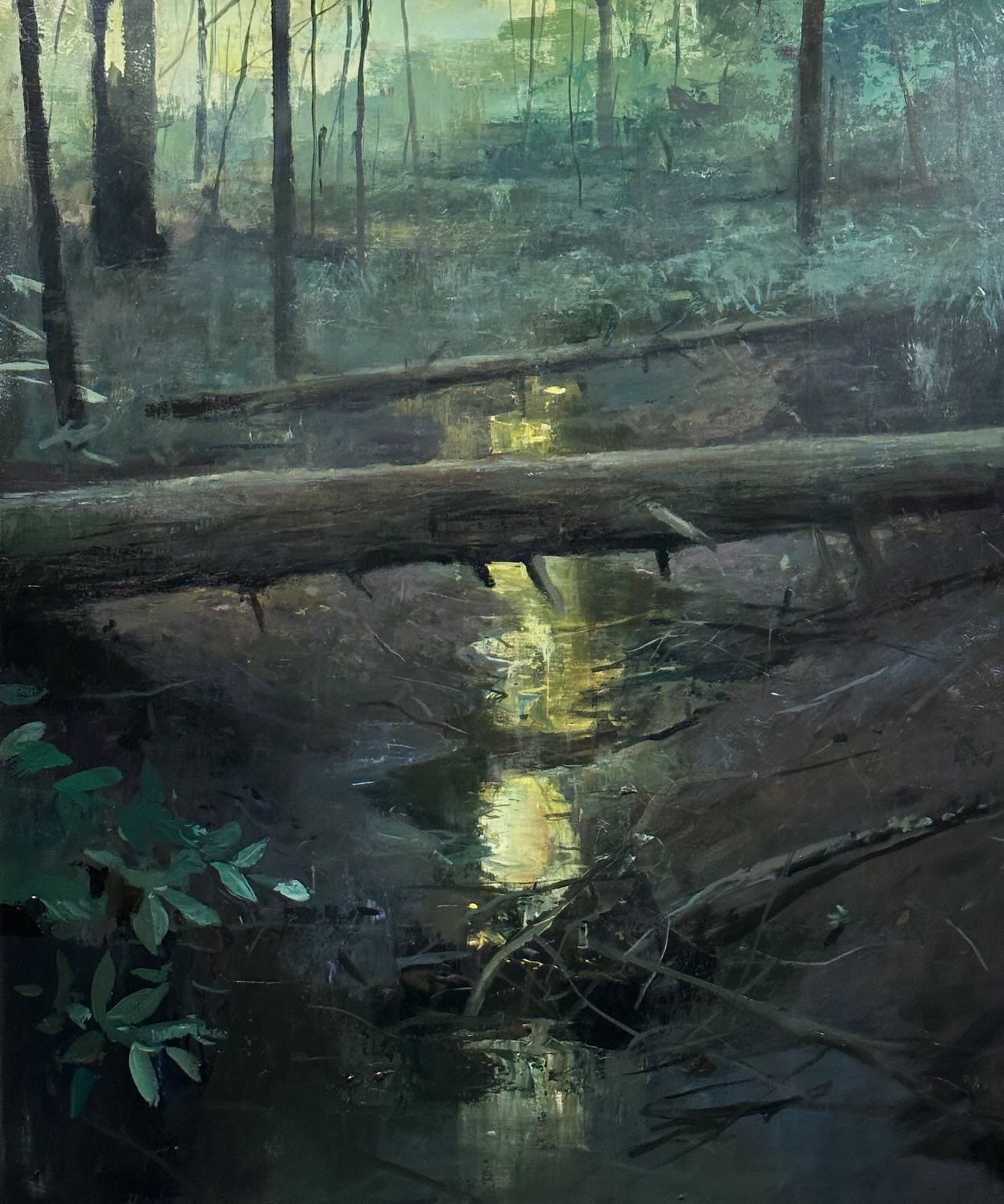 light glimmers on a small stream of water in a forest