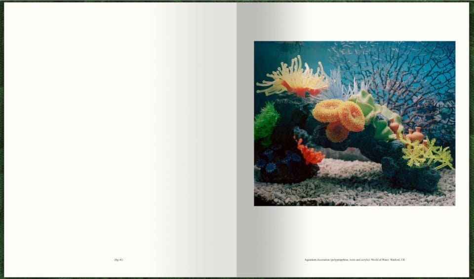 a spread of a photography book with an image on the right showing colorful coral underwater