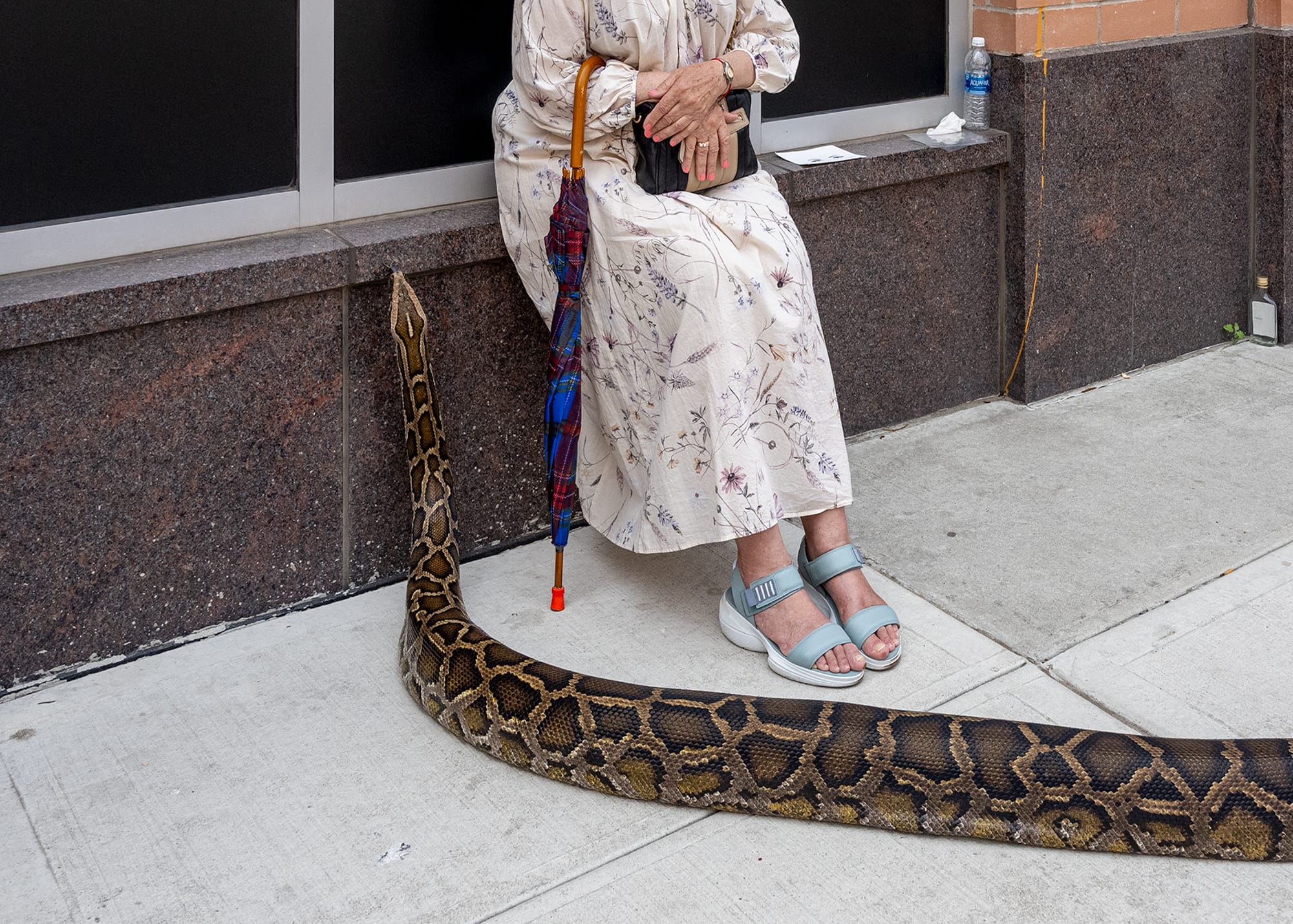 a giant snake slithers up beside a woman