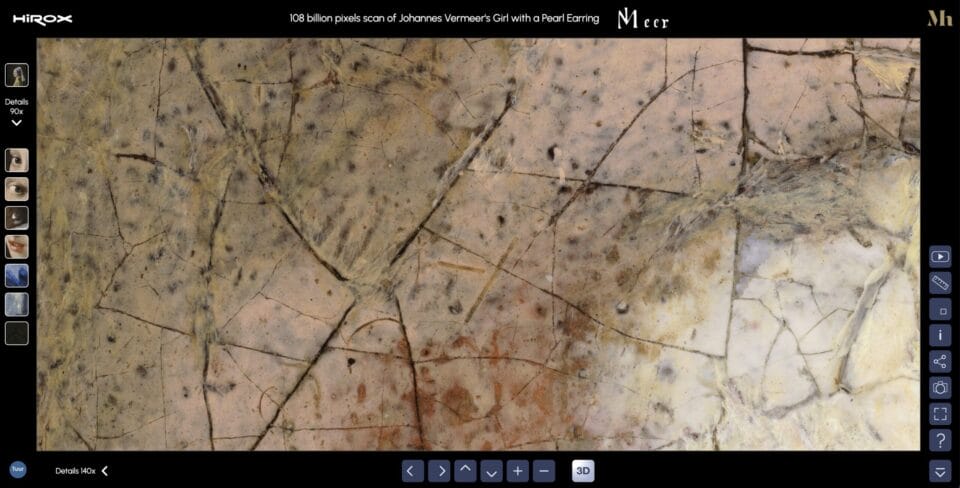 an extremely close-up detail of an oil painting within a black frame with software navigation buttons