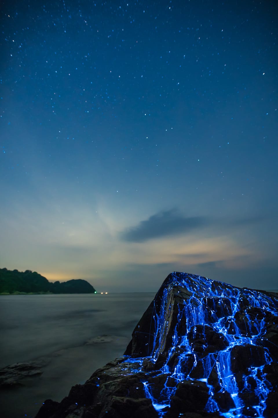 TDubPhoto_04