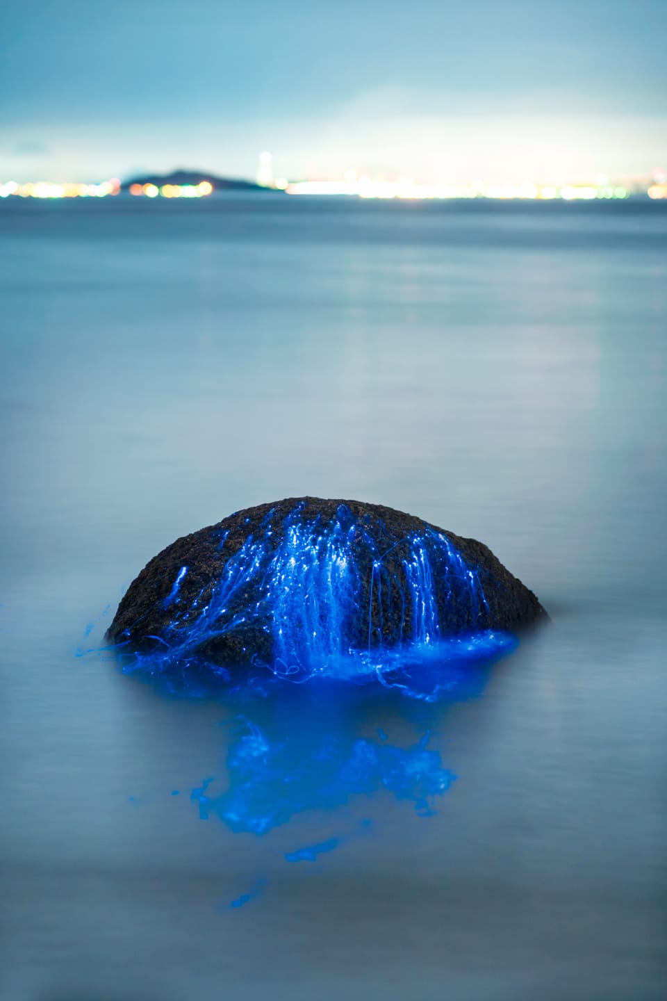 TDubPhoto_08